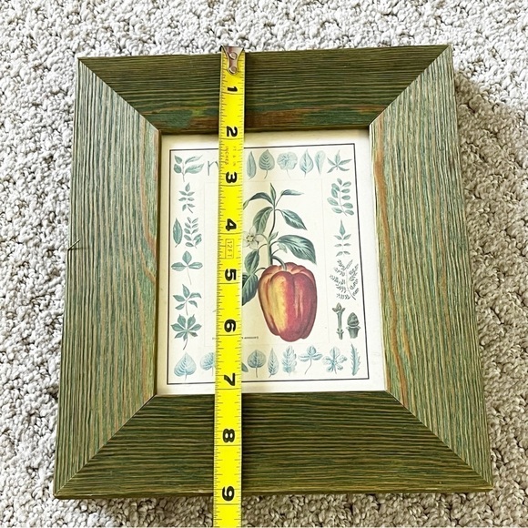 Giovanni Morello Framed Prints Artichoke Pepper Watercolor Paintings Set of 2 - Picture 11 of 12